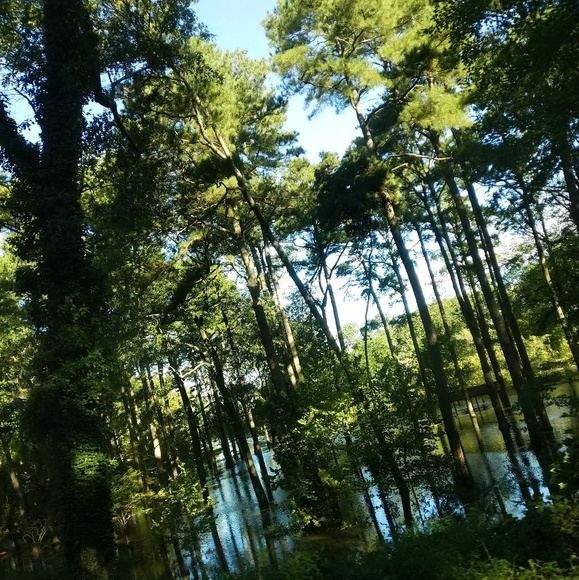 sarahinfinitxy
